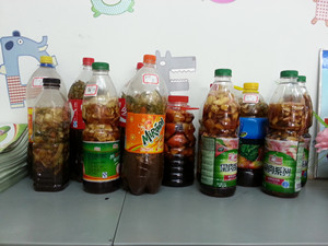 津南区双港新家园小学班级博客