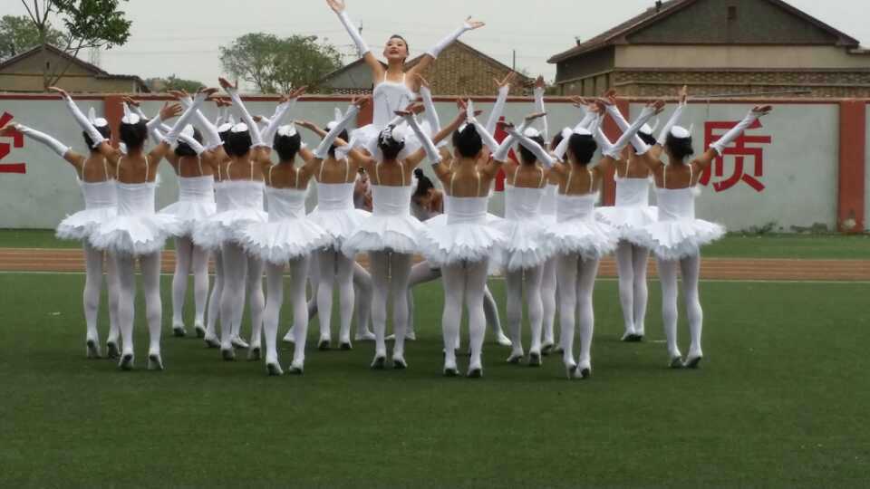 静海县唐官屯镇小学德育网