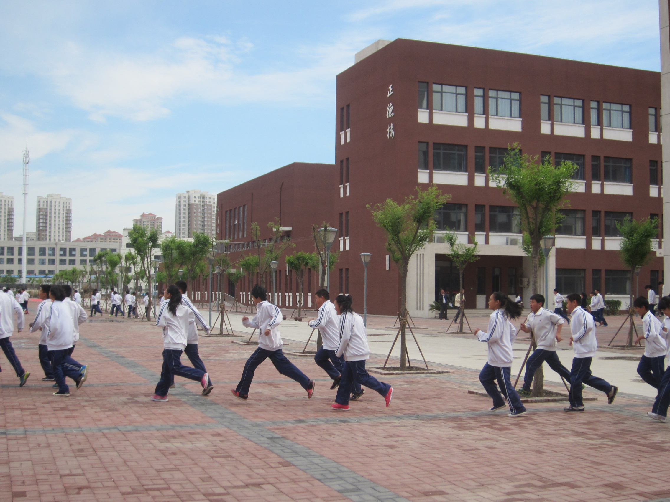 天津市辛庄中学德育网